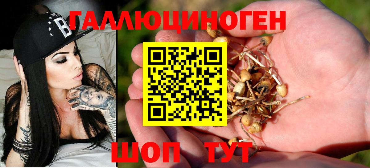 Галлюциногенные грибы прущие грибы Ржев